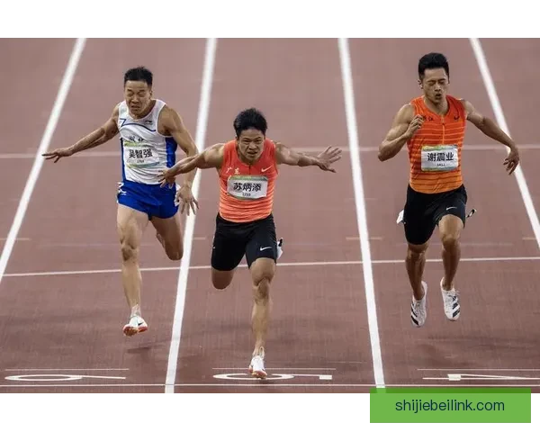 全运会精彩瞬间回顾运动员奋力拼搏燃情赛场展示