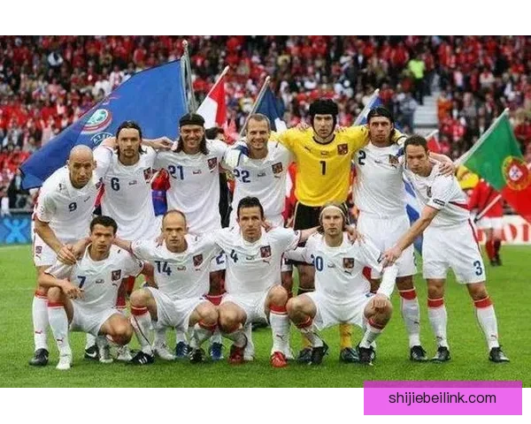 荷兰对阵捷克精彩对决赛场风云全解析